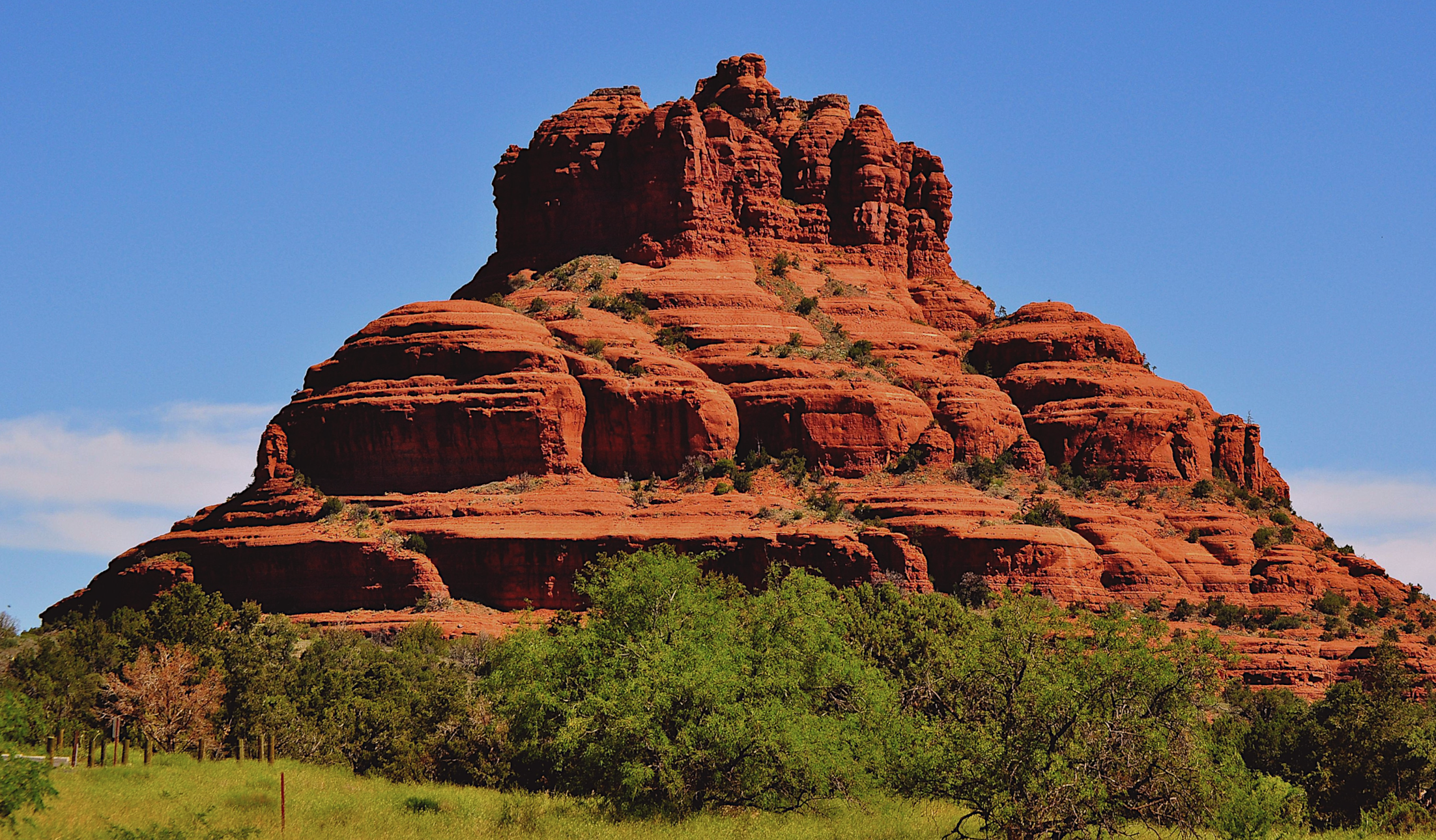 The Awakening Protocol