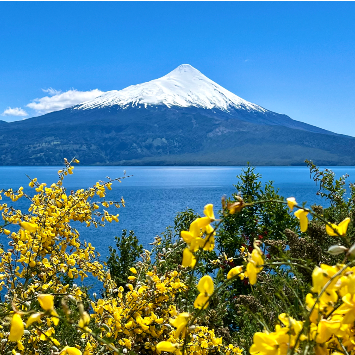 Coaching Sessions With Gian After Awakening